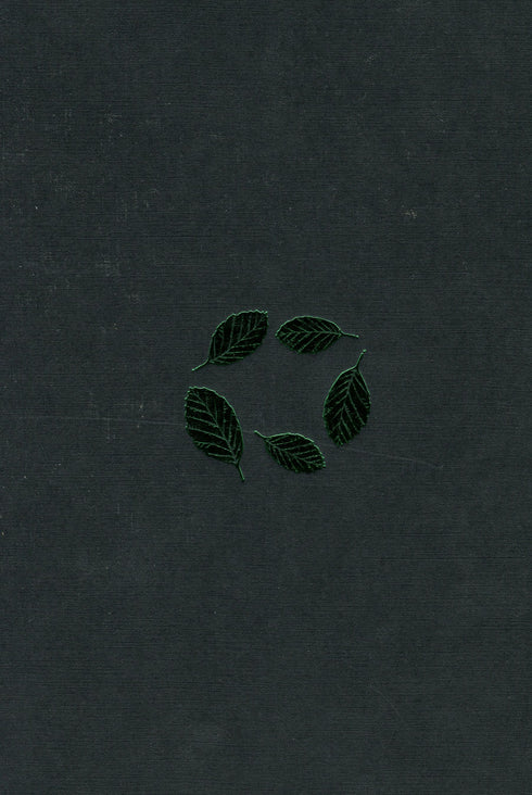 Buche Erde - 9786175851791