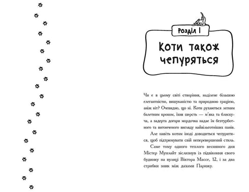 Detektive mit Schnurrbärten. Buch 6. Lauter Raubüberfall in der Pariser Bank