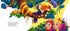 Wonder Zoo (vergriffen)