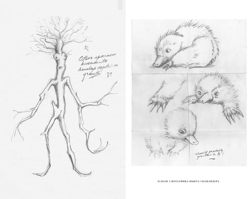 Phantastische Tierwesen. Dumbledores Geheimnisse. Originaldrehbuch - 9786175853856