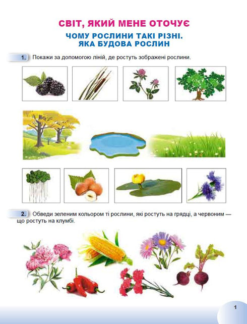 I Explore the World. Grade 1. Workbook for the Integrated Course. Part 2 NUS 2025 - 9789661113472