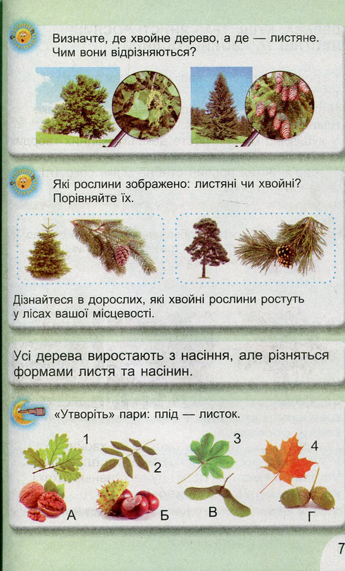 Я досліджую світ. Підручник. 1 клас. Частина 2