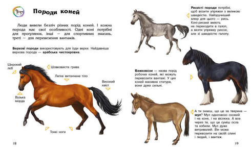 Encyclopedia of Preschoolers. Horses