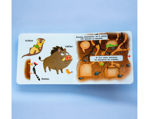 Waldtiere. Erfahre, spiele, drehe, schiebe - 9789669367525