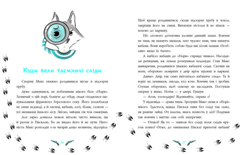 Лісовий детектив. Таємниця зниклих зайців