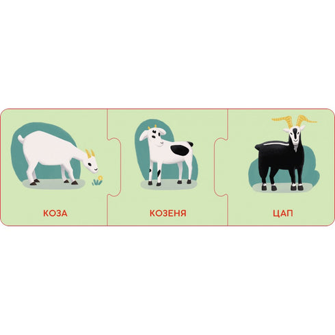 Logical chains. Baby animals and their families