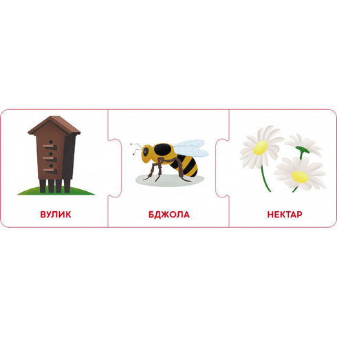 Logische Ketten. Tierwelt. Wer lebt wo und was isst er?