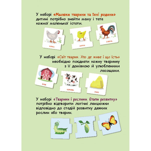 Logical chains. Animals and plants. Stages of development
