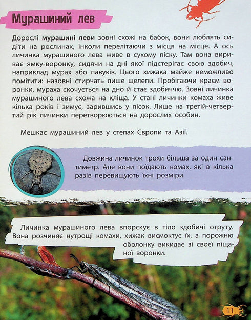 Mini-Enzyklopädie. Insekten und Spinnen