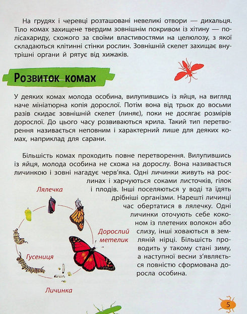 Mini-Enzyklopädie. Insekten und Spinnen