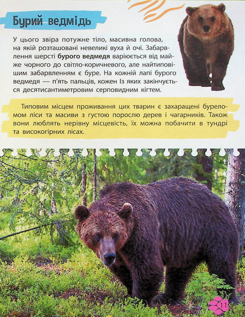 Mini-Enzyklopädie. Tierwelt