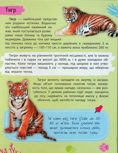 Mini-Enzyklopädie. Tierwelt