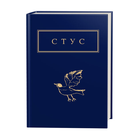 Palimpseste - 9786175852194