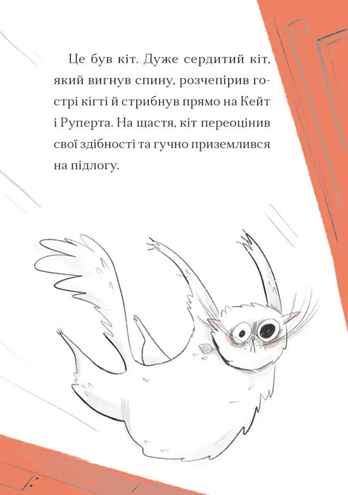 Case for Kate - 9789664484098