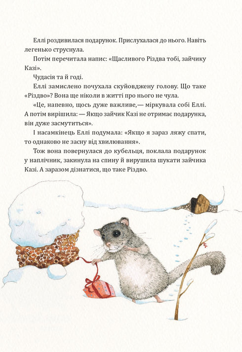 Таємниця різдвяного подарунка (закінчився тираж)