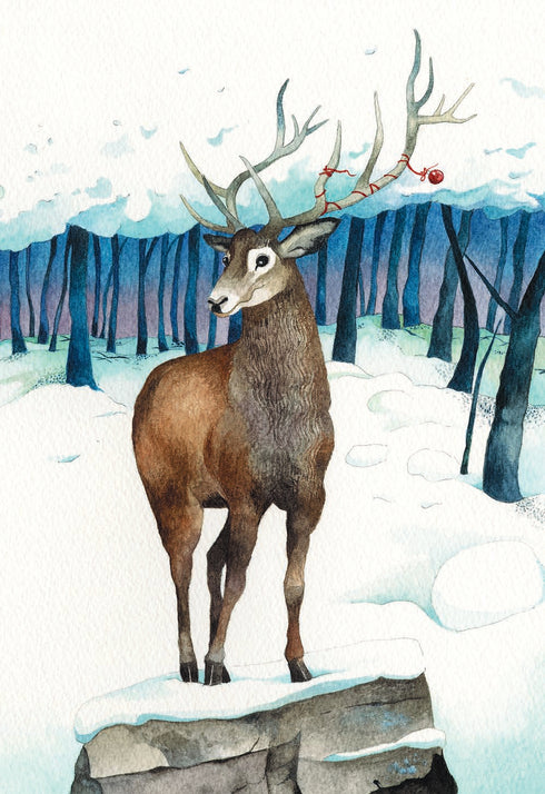 Таємниця різдвяного подарунка (закінчився тираж)