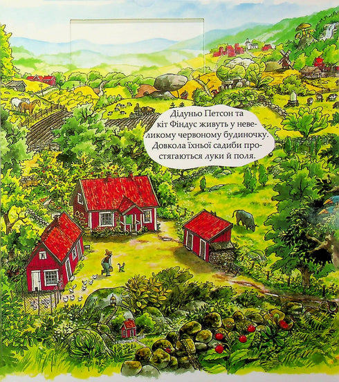 Birthday Cake and More