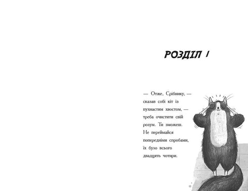 Тото. Кішка-ніндзя та справа про викрадення сиру. Книга 2