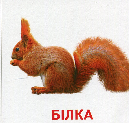 Тварини та птахи України