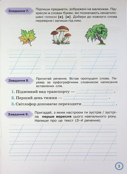 Deine Leistungen. Thematische Diagnosetests in Ukrainisch. 3. Klasse - 9789669913951