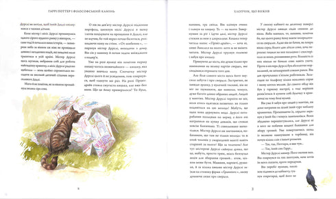 Harry Potter und der Stein der Weisen. Große illustrierte Ausgabe. Buch 1 (Ukrainische Ausgabe)