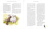 Harry Potter und der Stein der Weisen. Große illustrierte Ausgabe. Buch 1 (Ukrainische Ausgabe)