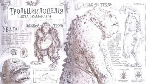 Harry Potter und der Stein der Weisen. Große illustrierte Ausgabe. Buch 1 (Ukrainische Ausgabe)