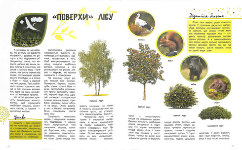 The World and Its Mysteries: The Life of the Forest