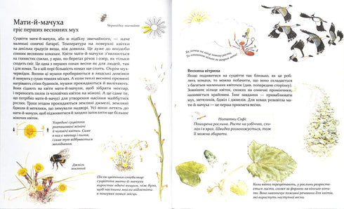 Експедиція з мурахою Софі. Досліджуємо природу навколо нас