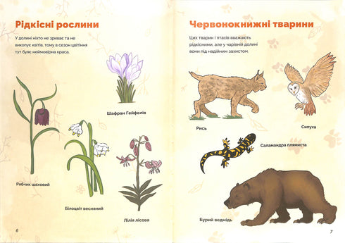 Der Weihnachtsmann und das Geheimnis des zauberhaften Tals