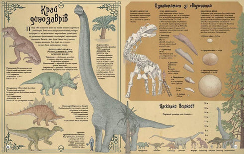 Найвища вежа, найменша зоря