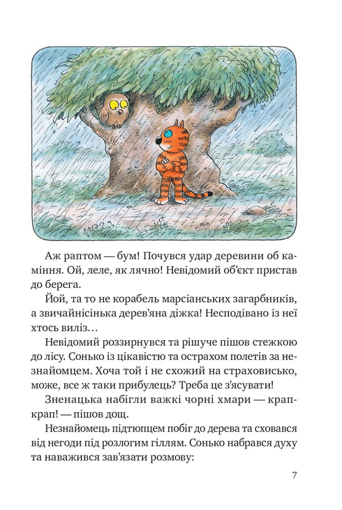 The Adventures of Boris the Cat (out of print)